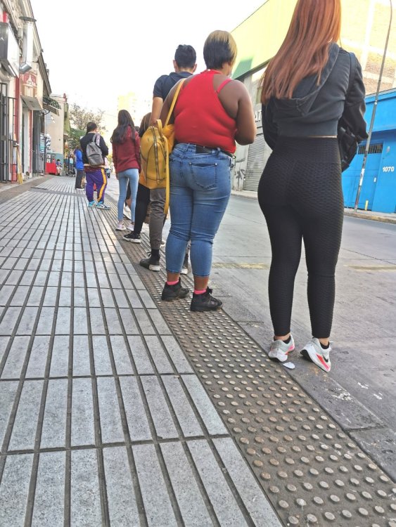 LEGGINS DE LUJO (30).jpg