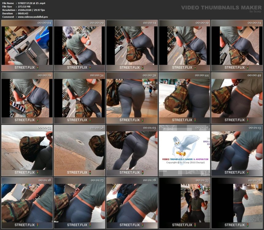 STREET.FLIX # 25 .mp4.jpg