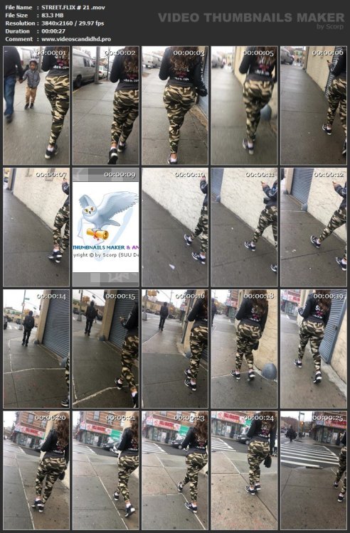 STREET.FLIX # 21 .mov.jpg