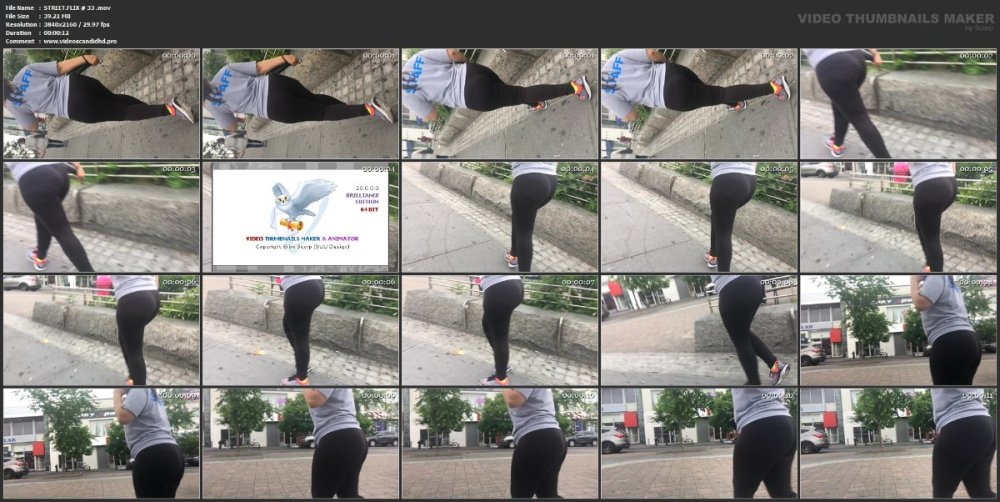 STREET.FLIX # 33 .mov.jpg