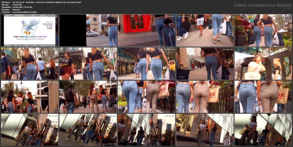 GD-SB Vol. 39 - Hard Bust - Girl & Her Friend Stare Right At My Cam (story).mp4.jpg