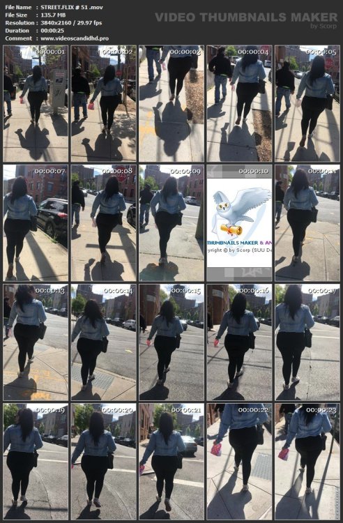 STREET.FLIX # 51 .mov.jpg