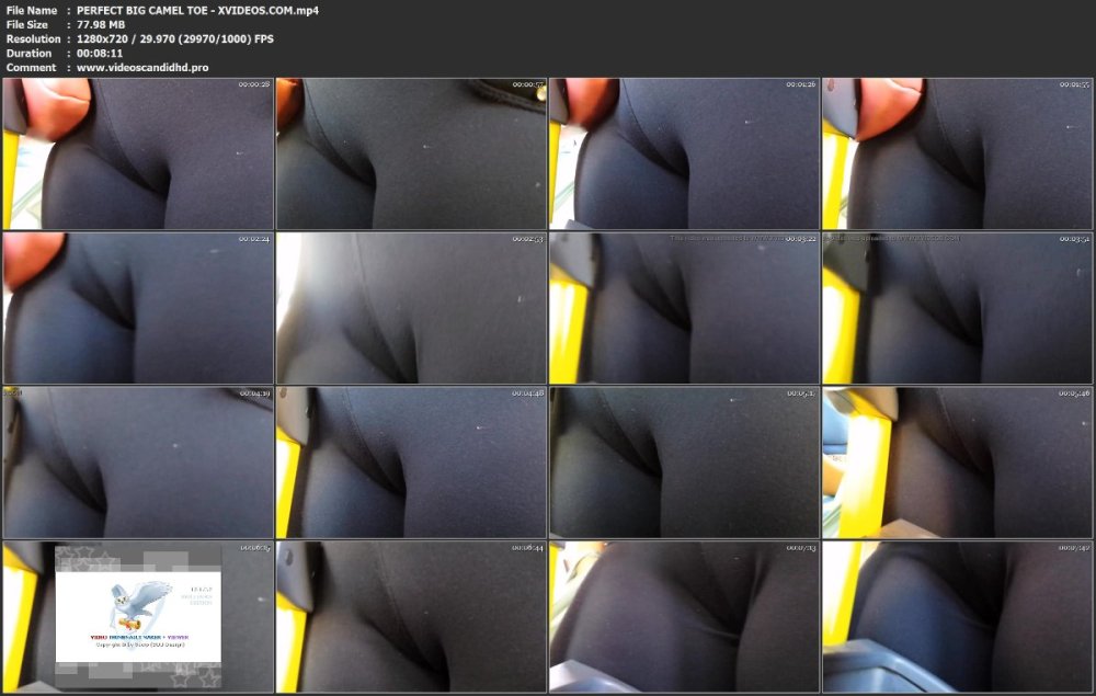 PERFECT BIG CAMEL TOE - XVIDEOS.COM.mp4.jpg