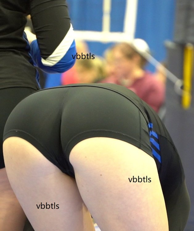 229_edited.thumb.jpg.201b5eab90582b91b1cf7e52143a2785.jpg