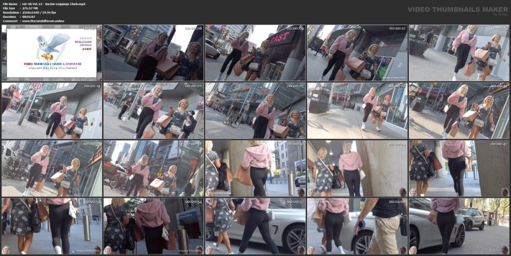 GD-SB Vol. 65 - Barbie Leggings Chick.mp4.jpg