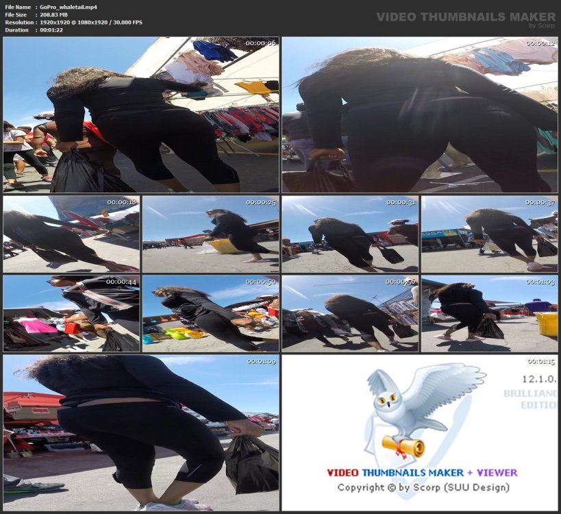 GoPro_whaletail.mp4.jpg