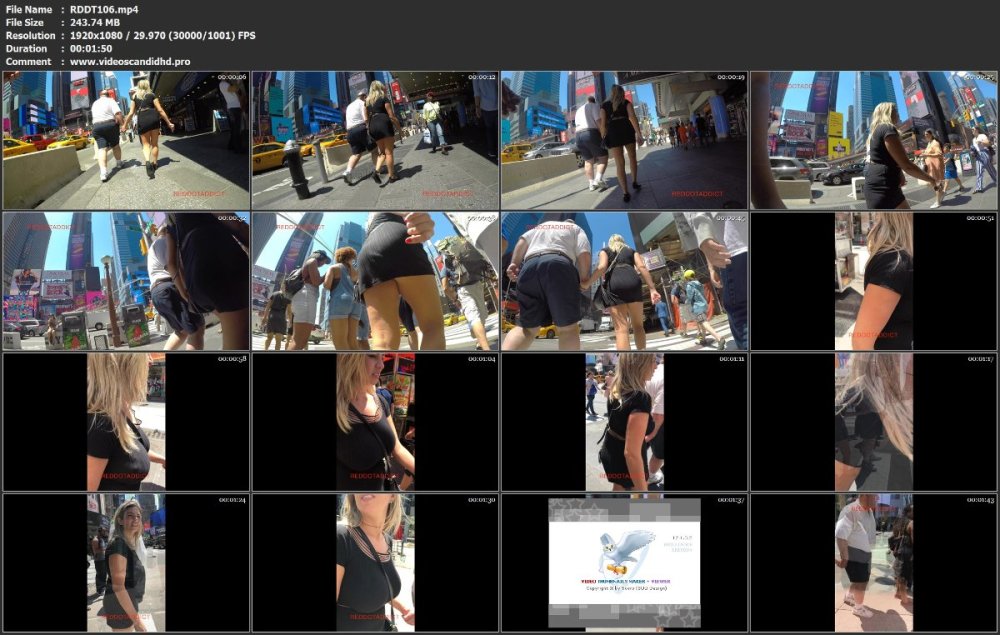 RDDT106.mp4.jpg