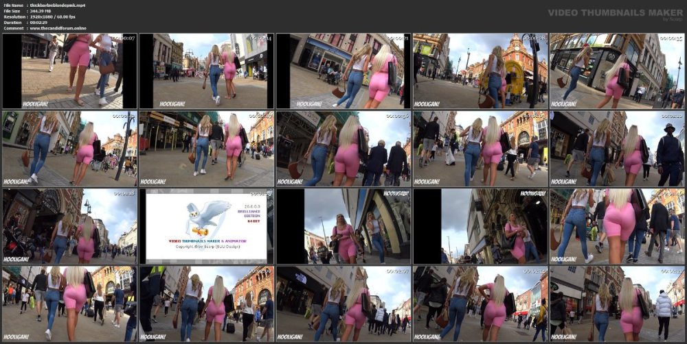 thickbarbieblondepink.mp4.jpg