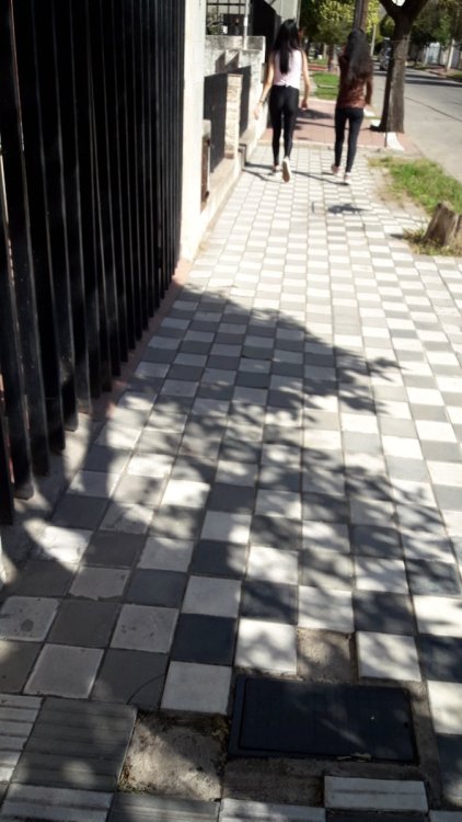 20190410_110643.jpg