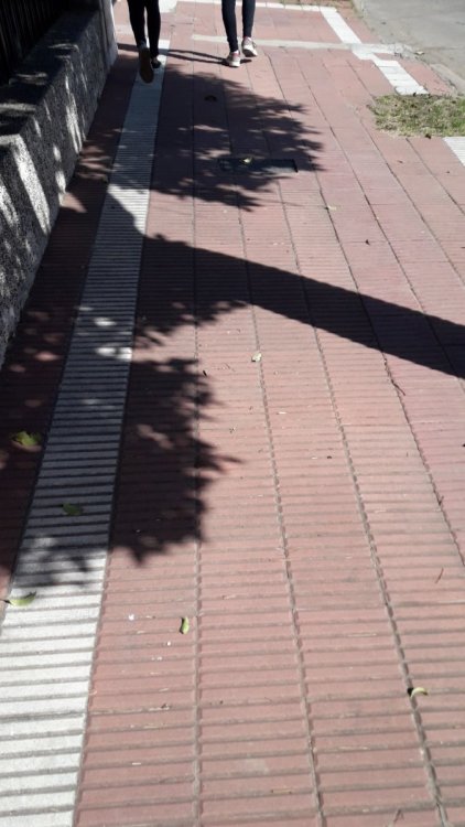 20190410_110651.jpg