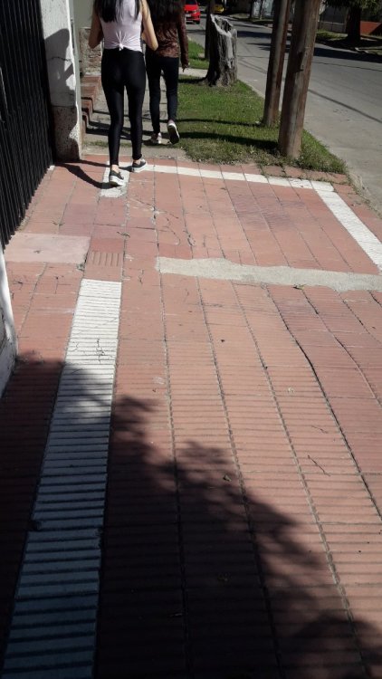 20190410_110654.jpg