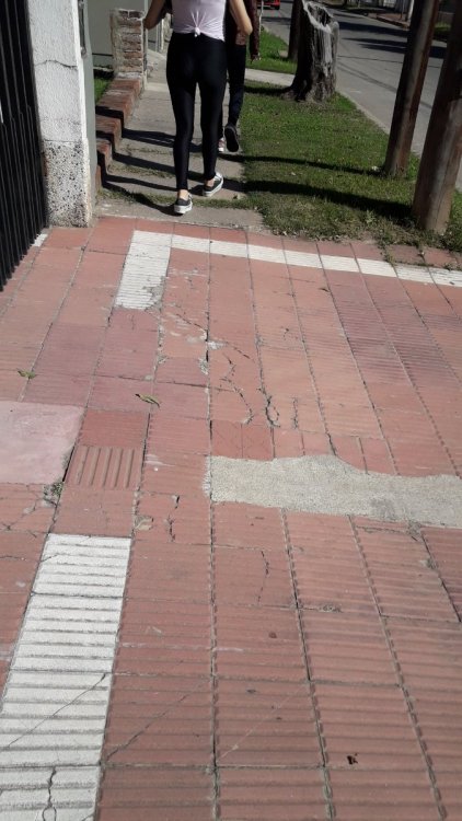 20190410_110655.jpg