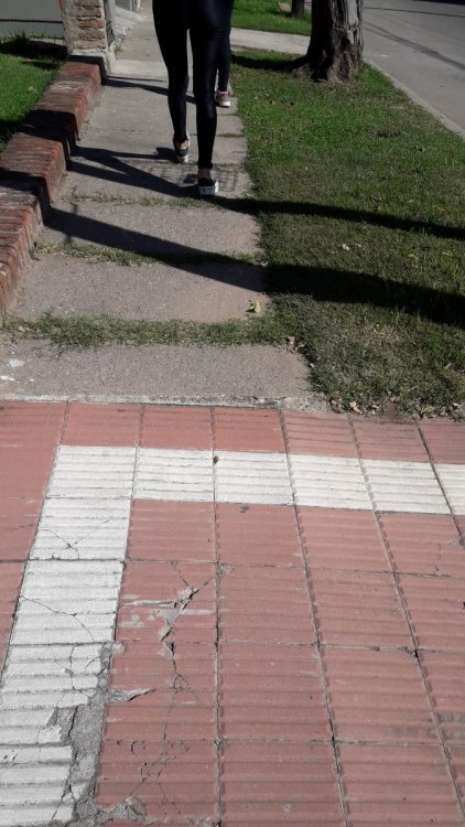 20190410_110656.jpg