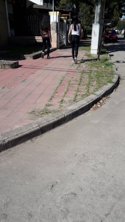 20190410_110957(0).jpg