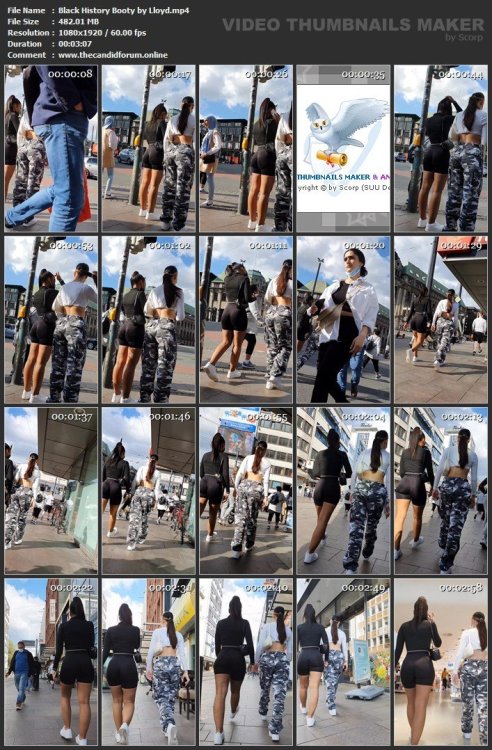 Black History Booty by Lloyd.mp4.jpg
