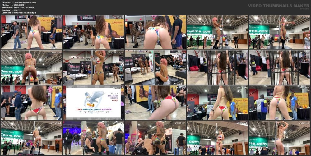 Exxxotica strippers.mov.jpg