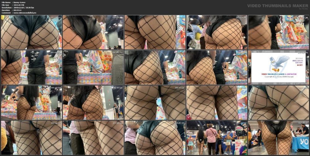 Bunny 4.mov.jpg