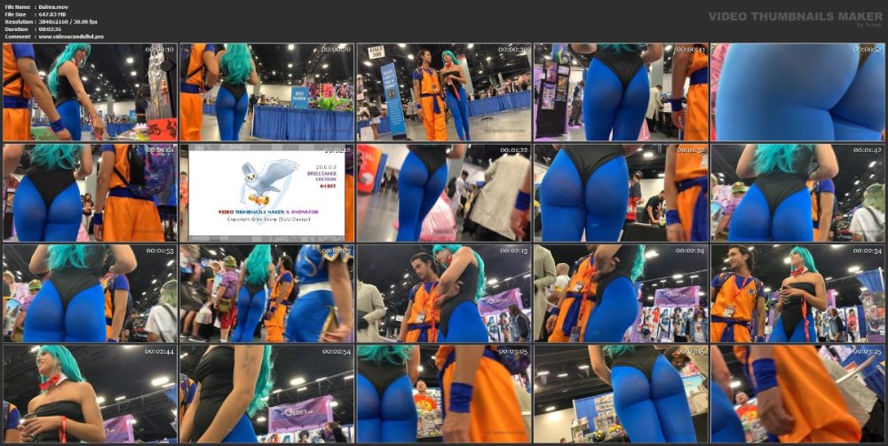 Bulma.mov.jpg