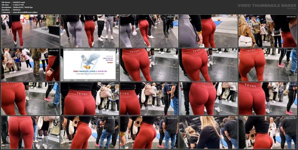 Vid.0037.mp4.jpg