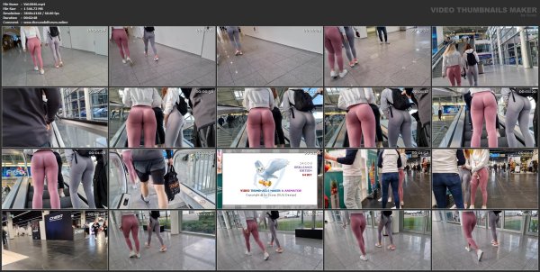 Vid.0046.mp4.jpg
