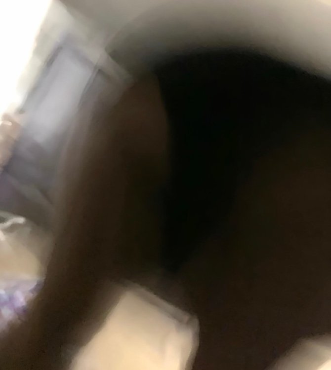 IMG_2240.jpeg
