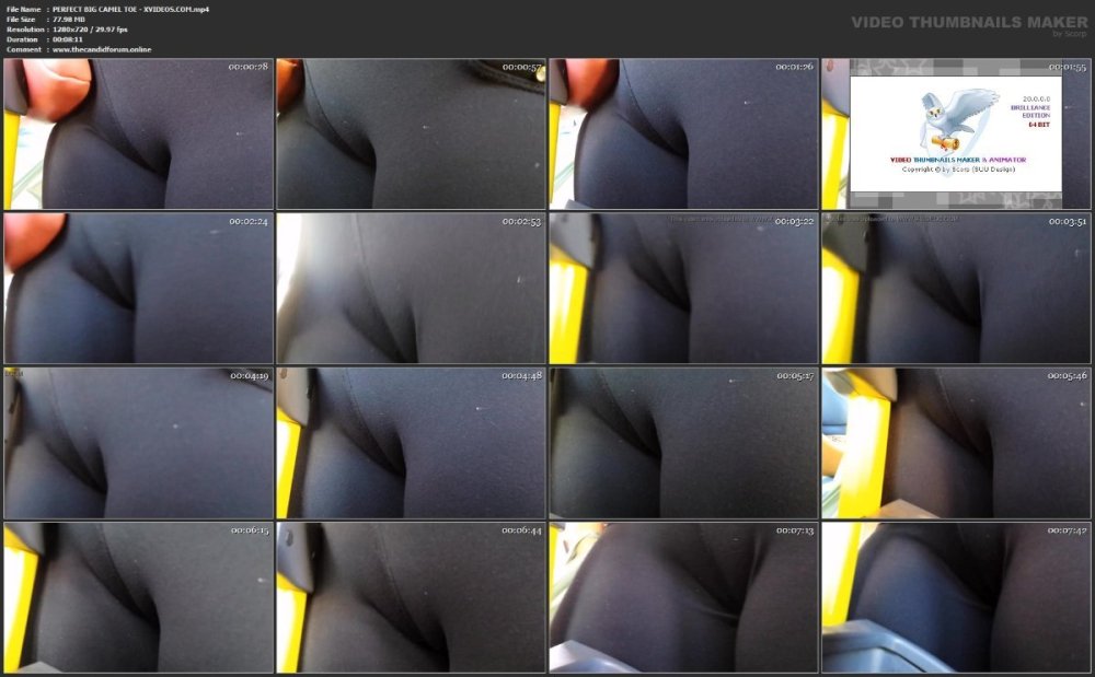 PERFECT BIG CAMEL TOE - XVIDEOS.COM.mp4.jpg