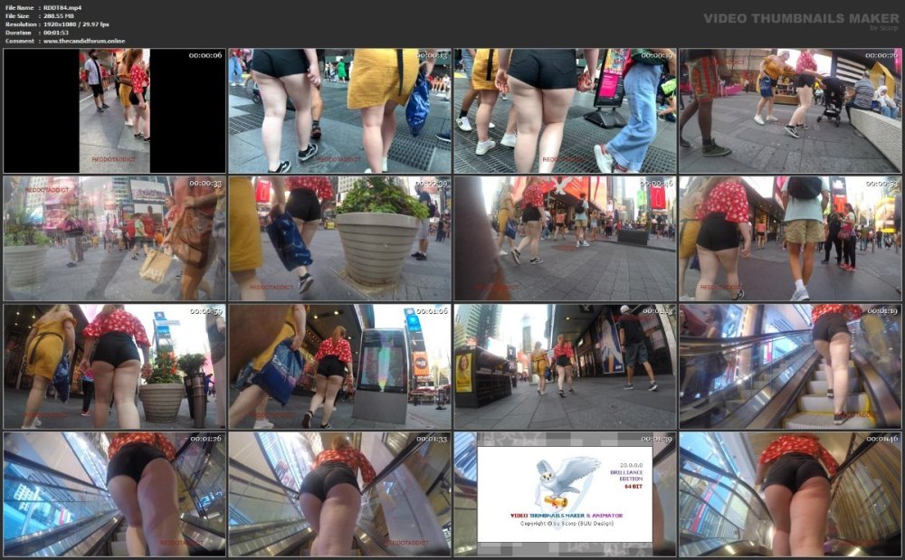 RDDT84.mp4.jpg