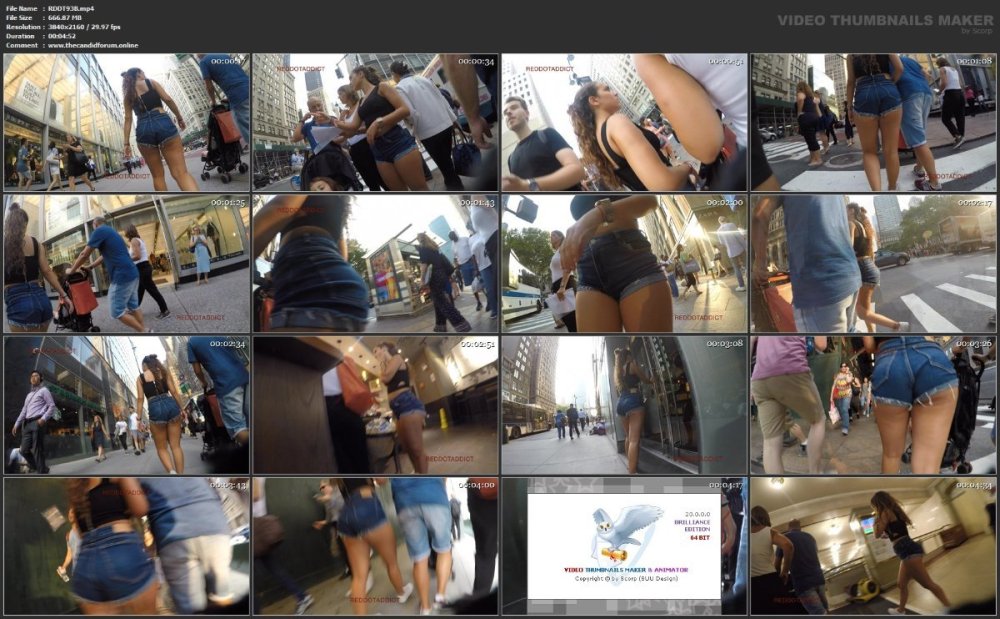 RDDT93B.mp4.jpg