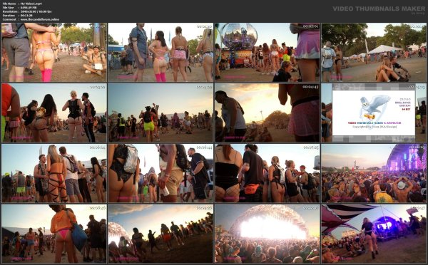 My Video1.mp4.jpg