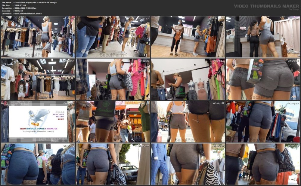 tan stallion in grey LULU 4K HIGH FR30.mp4.jpg