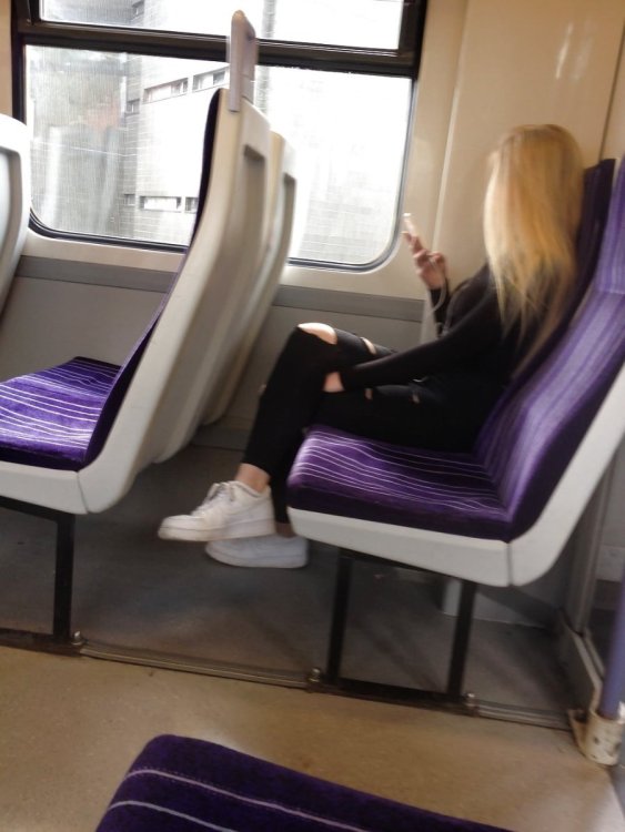116_1000.thumb.jpg.3df0e03c2186adf6abf560d55f1938b5.jpg