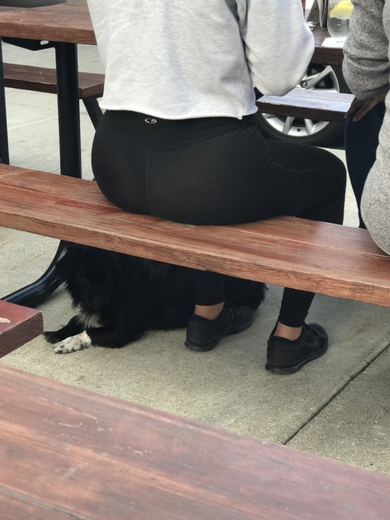 1620314759.jpeg