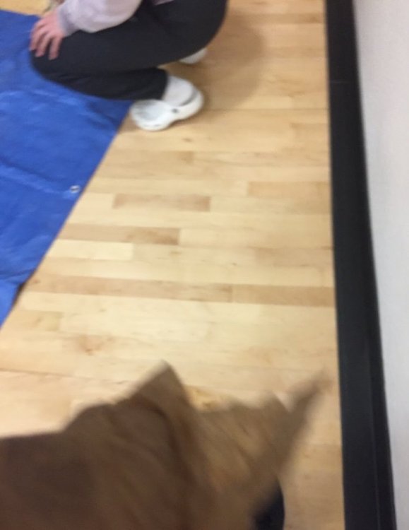 IMG_0343.jpeg