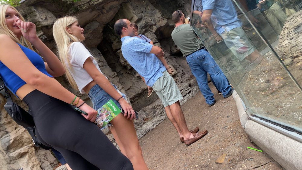 vlcsnap-2023-09-06-19h56m14s539.png.0cb7727f746ff1e5582b577bb078eb41.png