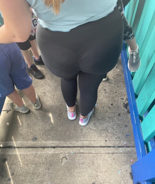 187726335.jpeg