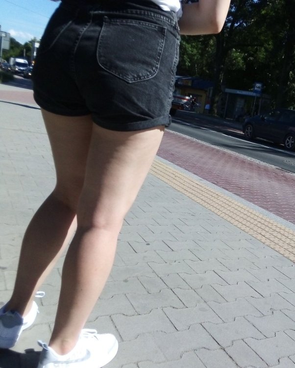 655159167.jpg