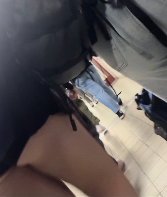 IMG_4291.jpeg