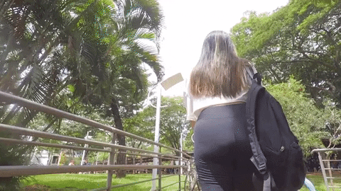 giphy (3).gif