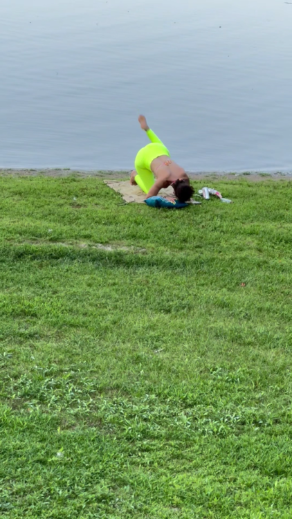 Yoga Dog_ 2.png