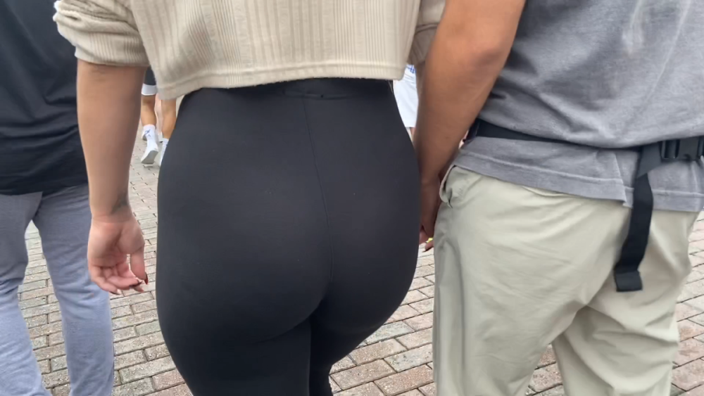 Snapshot.PNG