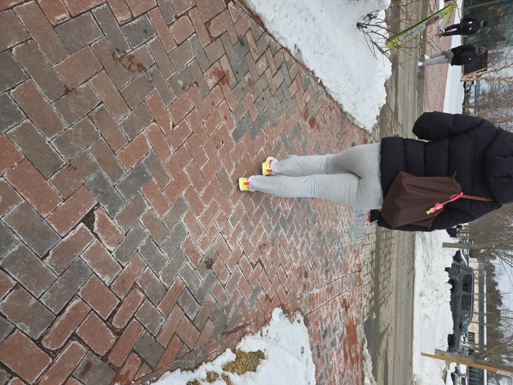 IMG_20250211_124454.jpg