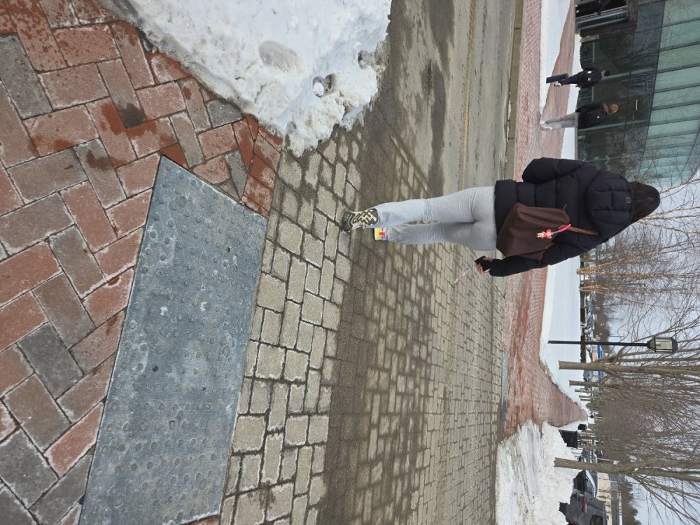 IMG_20250211_124457.jpg
