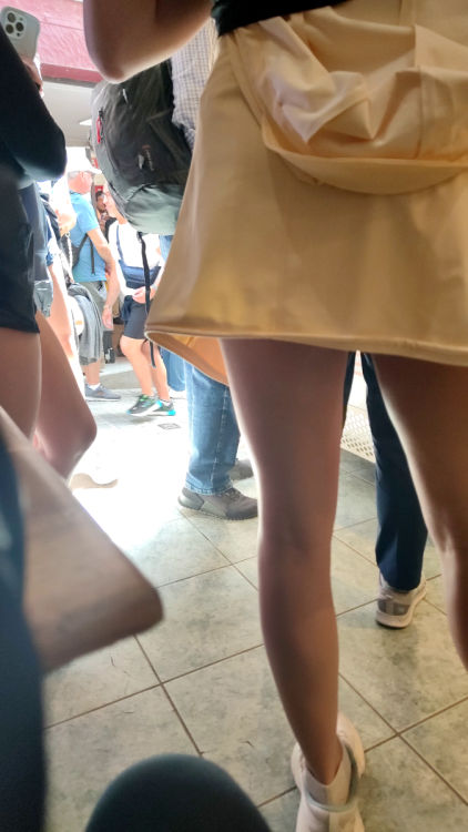 underskirt (23).png