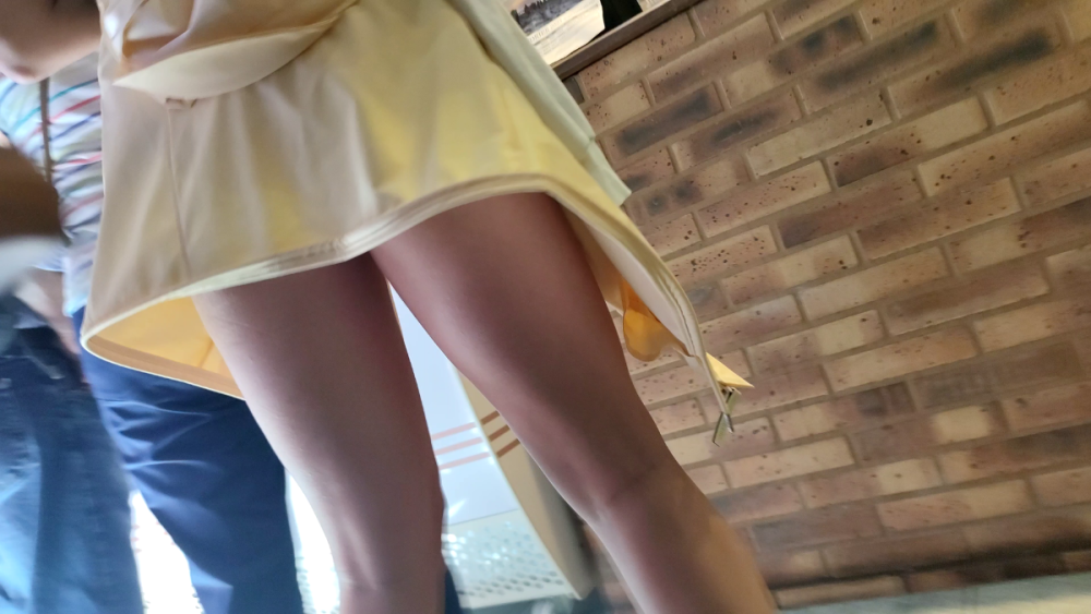 underskirt (3).png