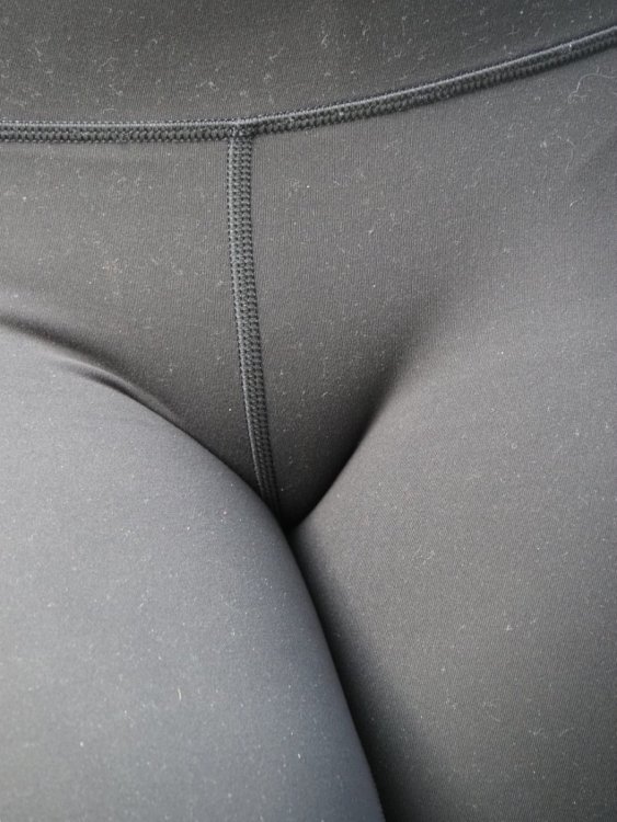 PA210125.JPG