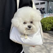 gumgolocked