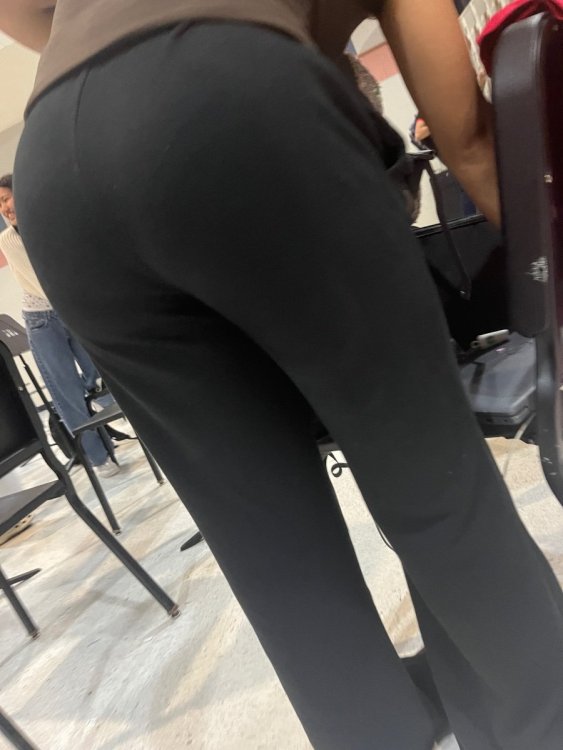 IMG_2263.jpeg