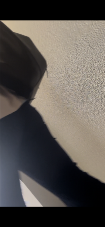 IMG_0784.png