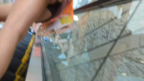 IMG_ymnxyd.gif.b3e6f12ed21adb98160348eebe2d97d8.gif
