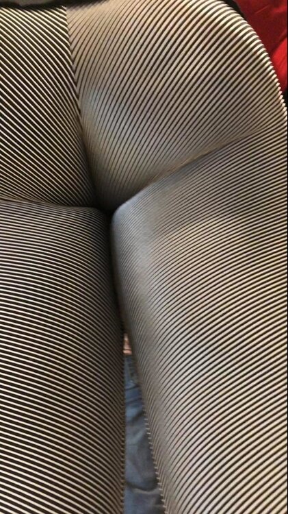 Snapshot_2.JPG